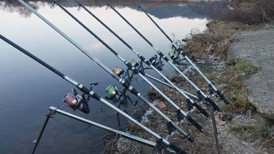 Product image from Dennis d*******